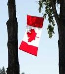 Barwny kraj kwitnącej wiśni