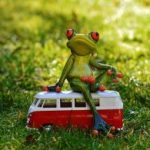 O podróży do kultury japońskiej