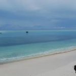 Kraj kwitnącej Wiśni